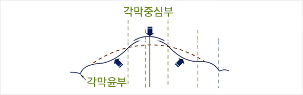 구형화